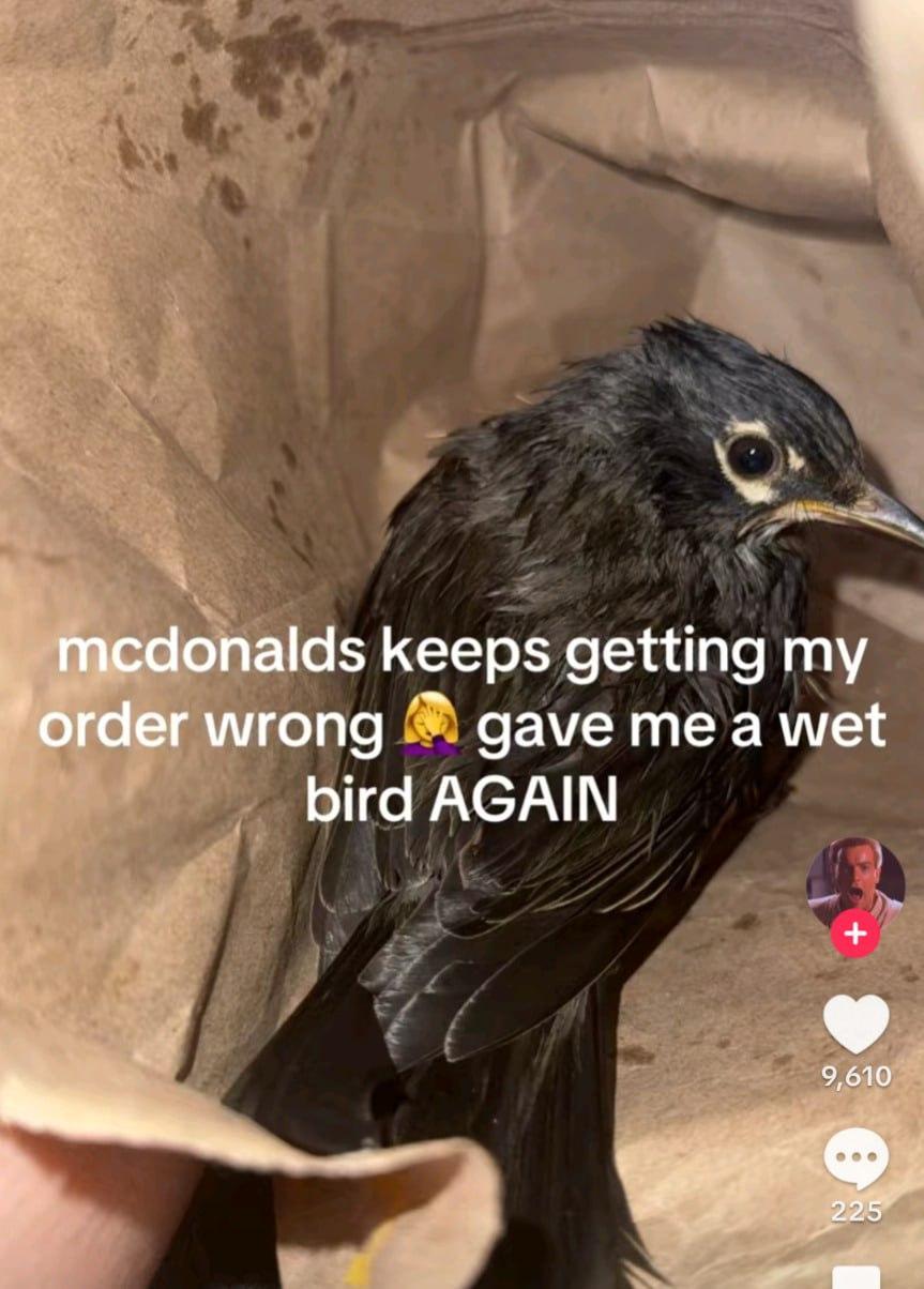 mcdonalds keeps getting my order wrong 🤦♀️ gave me a wet bird AGAIN